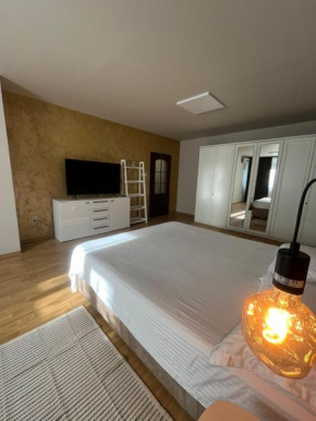 Faleza Apartment Galati